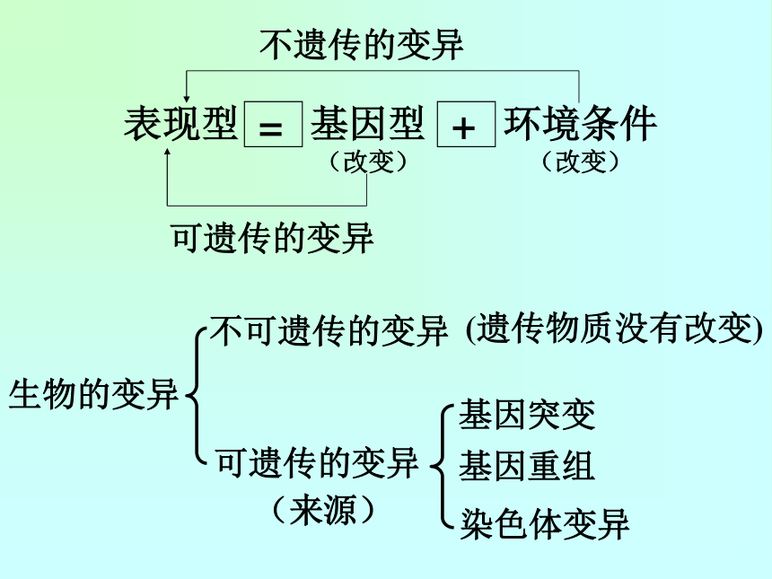 高中生物人教版必修2第五章第1节  基因突变和基因重组   课件(22张)