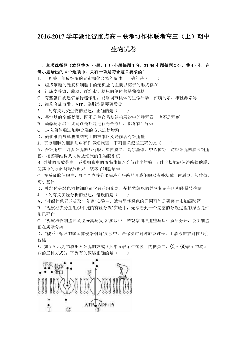 湖北省重点高中联考协作体联考2017届高三（上）期中生物试卷（解析版）