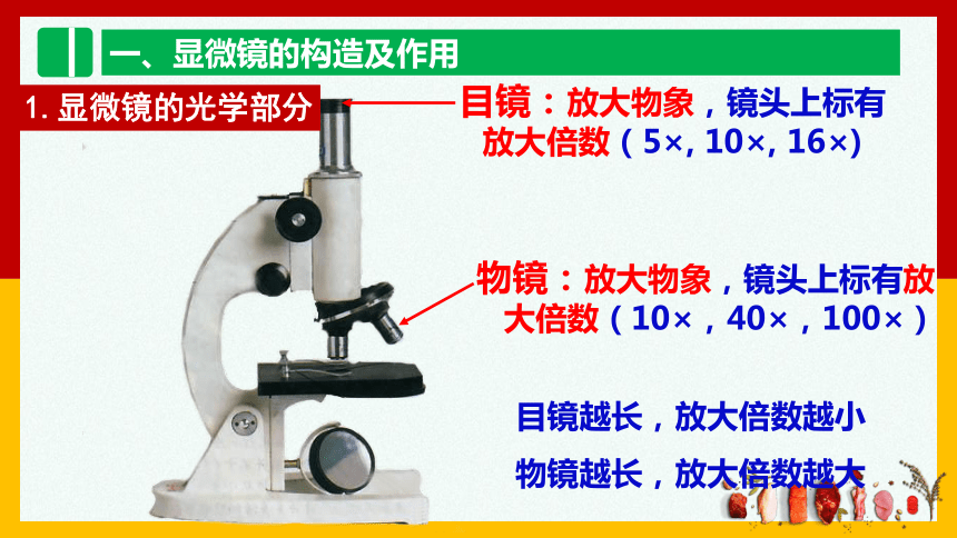 2.1.1 练习使用显微镜  课件 (共26张PPT)2021-2022学年人教版七年级生物上册