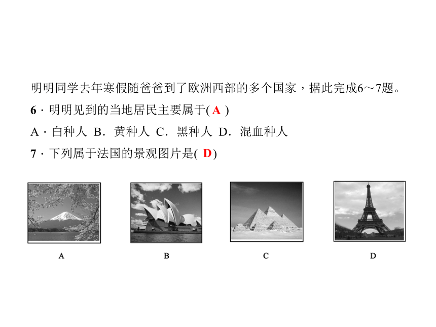 人教七年级下册地理习题课件：第八章第二节欧洲西部课堂训练(畜牧业、旅游业)（共12张PPT）