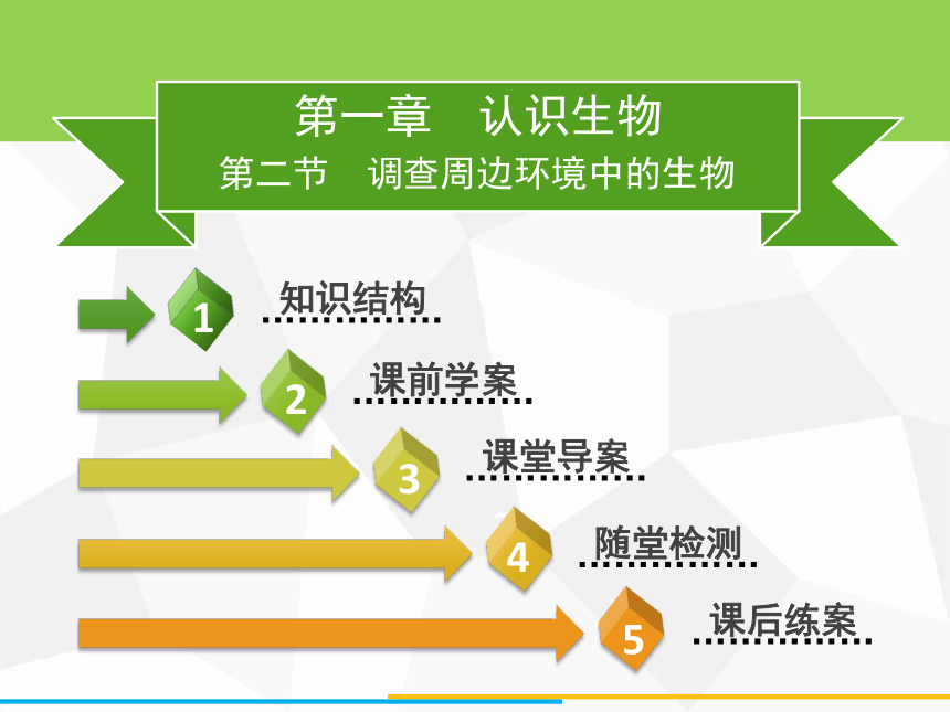 人教版七年级上册生物 第一单元 第一章 第二节　调查周边环境中的生物课件（34张PPT）