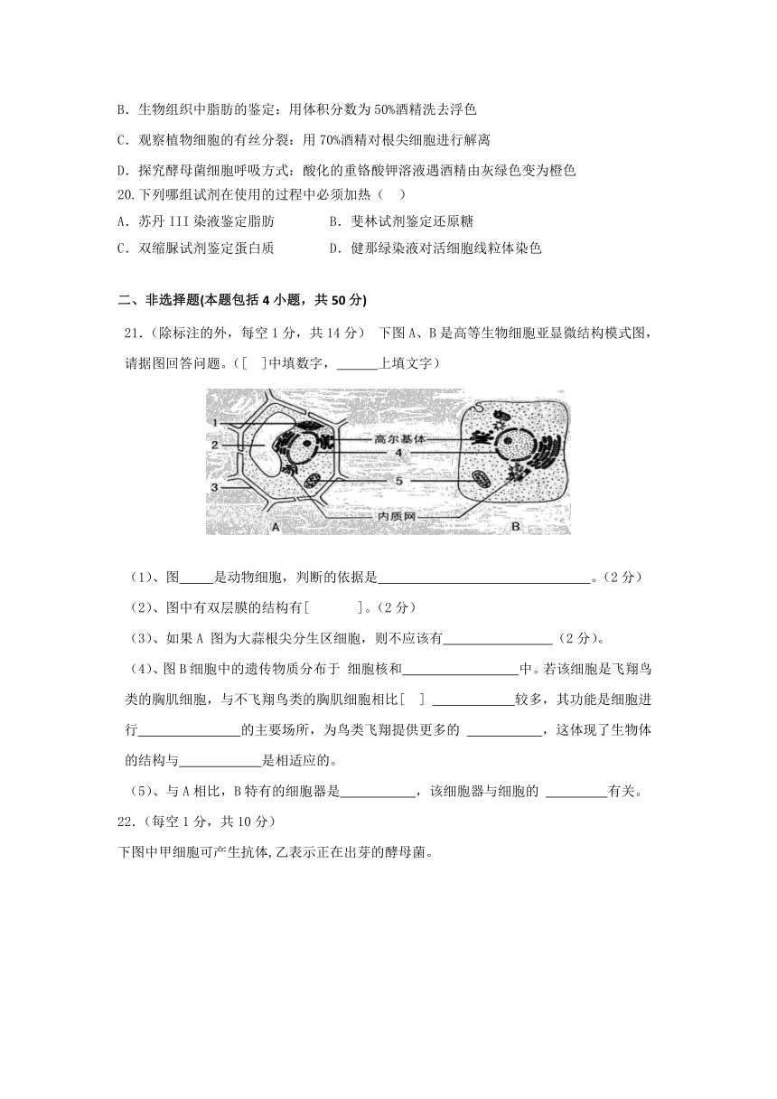 广西陆川县中学2017-2018学年高一下学期3月月考生物试题