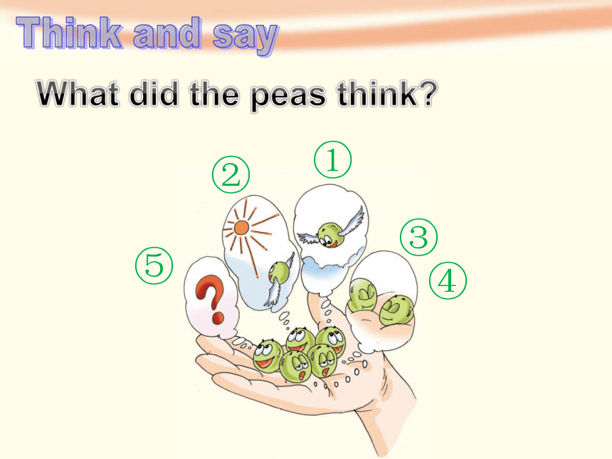 Unit 12 The five peas 第三课时课件