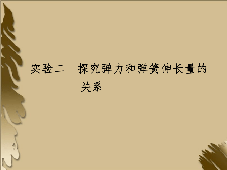 2012高考一轮复习物理（要点+命题导向+策略） 实验2