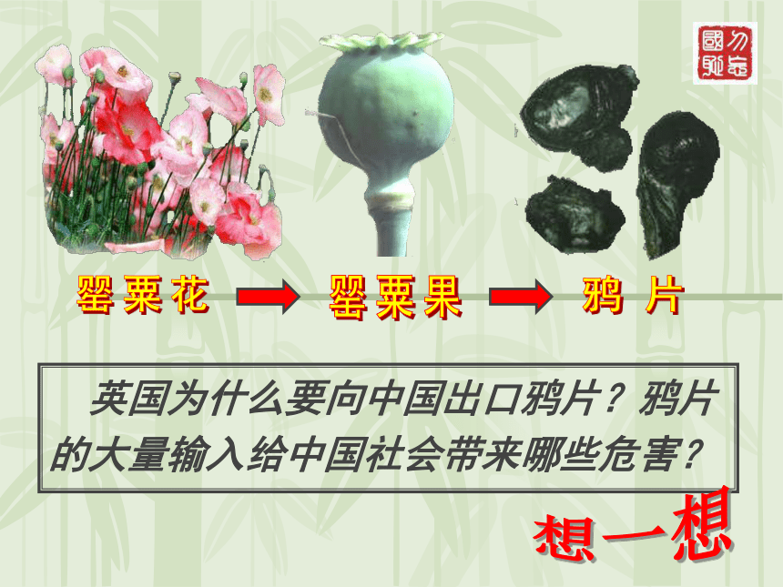 八年级历史鸦片战争 课件