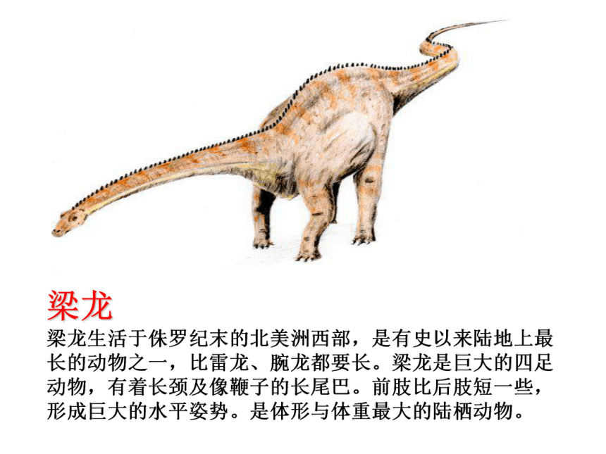 16 网络课堂：探索恐龙灭绝的原因 课件