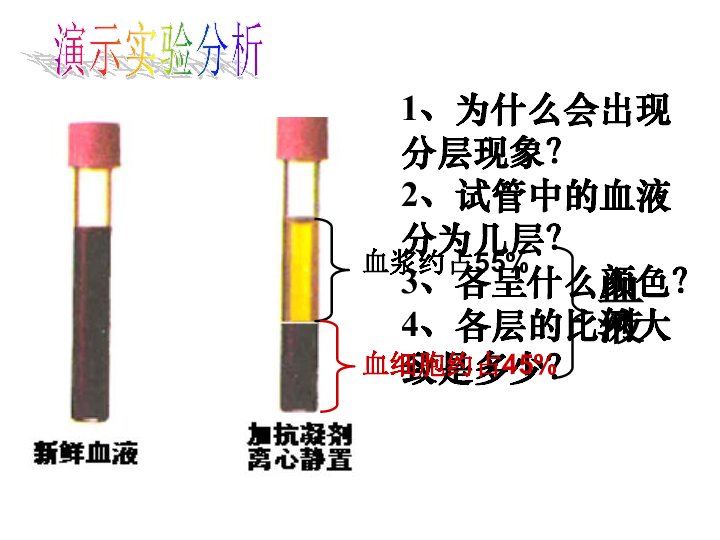 北师大版七下生物 9.1血液 课件(26张PPT)