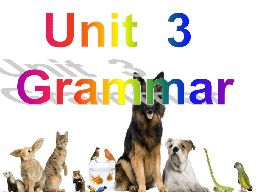 广东省深圳市 Module 2 Unit 3 Our animal friends Grammar 课件 (3)