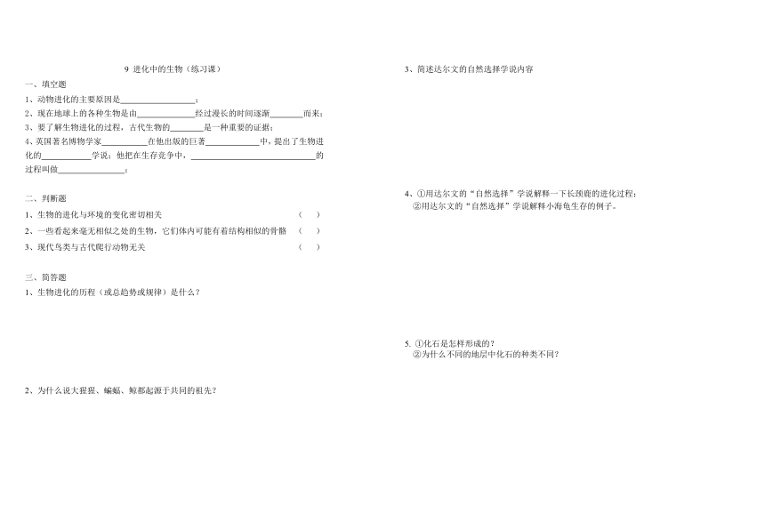 9、进化中的生物  练习课