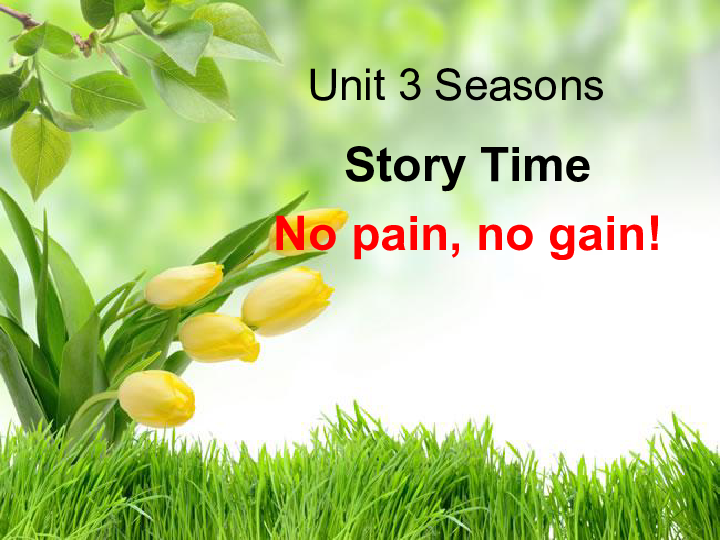 Unit 3 Seasons Story Time 课件+教案+素材（ 15张PPT）