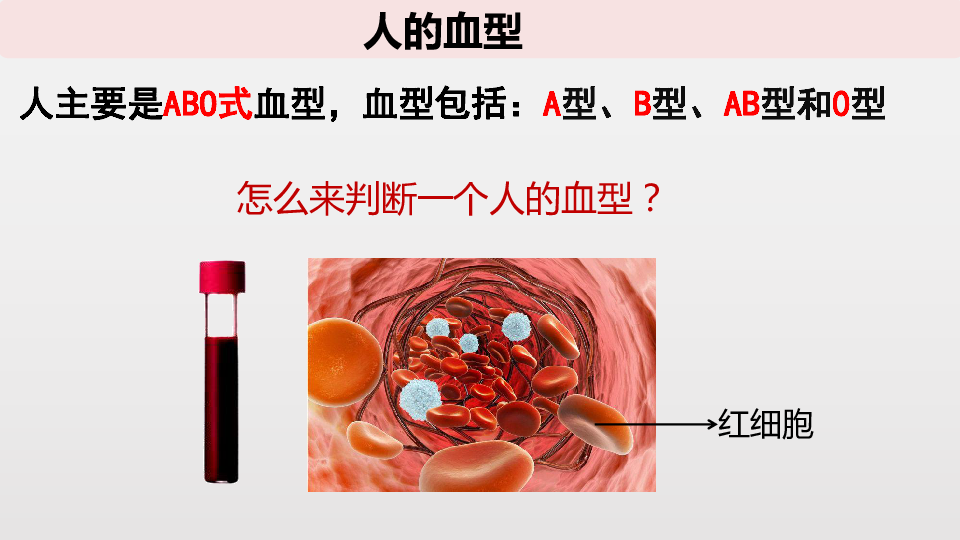 人教版七年级下册生物 第四单元第四节 输血与血型 课件（12张PPT）