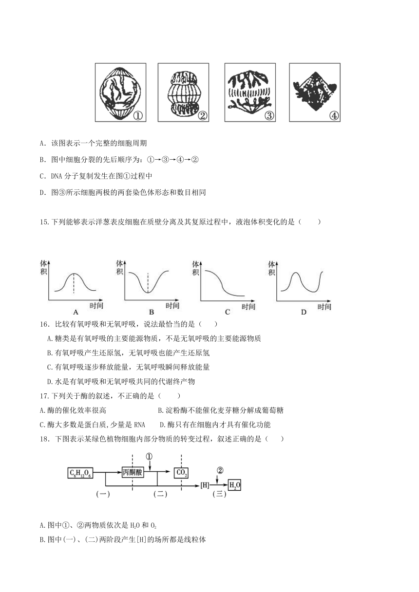 辽宁省大连普兰店市第一中学2016-2017学年高一上学期期末考试生物试题