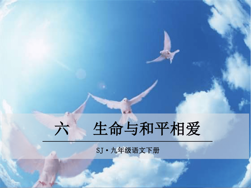 语文苏教版九年级下册 六、生命与和平相爱课件（27张ppt）