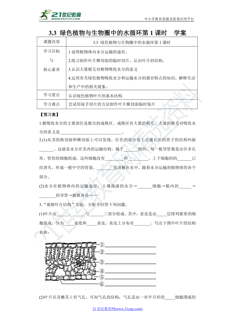 3.3 绿色植物与生物圈中的水循环 第1课时 导学案