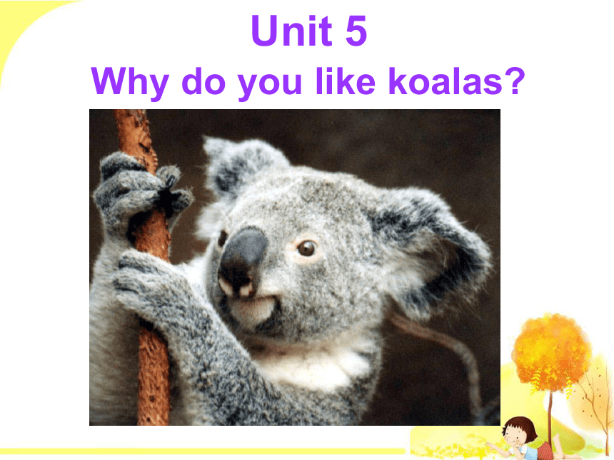 Unit 5 Why do you like pandas?Section B