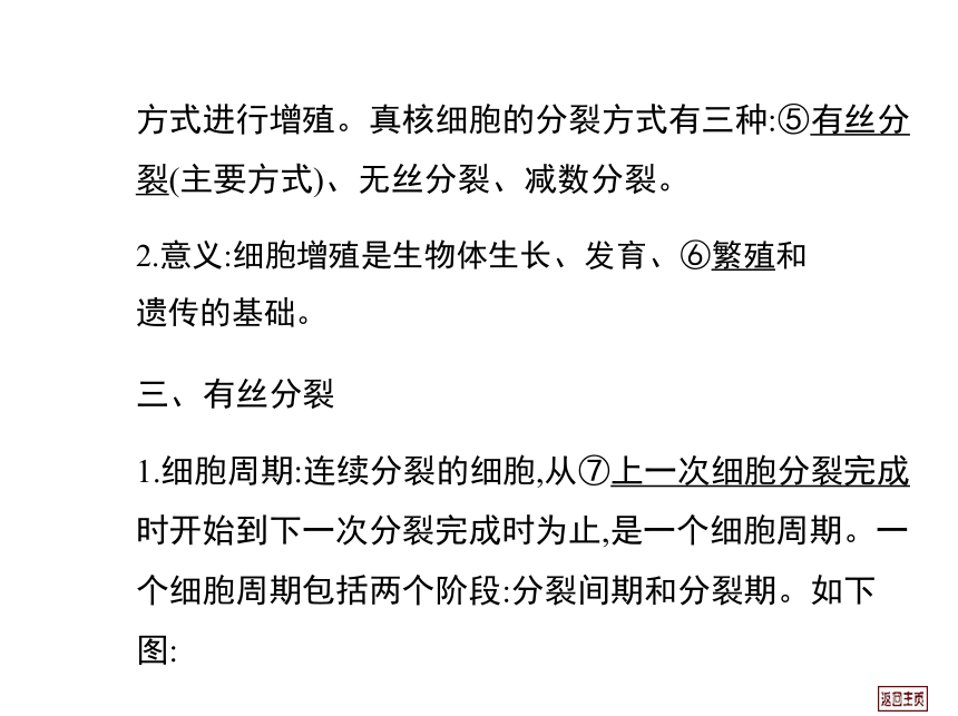 2014届高三生物一轮复习课件： 4.1 细胞的增殖