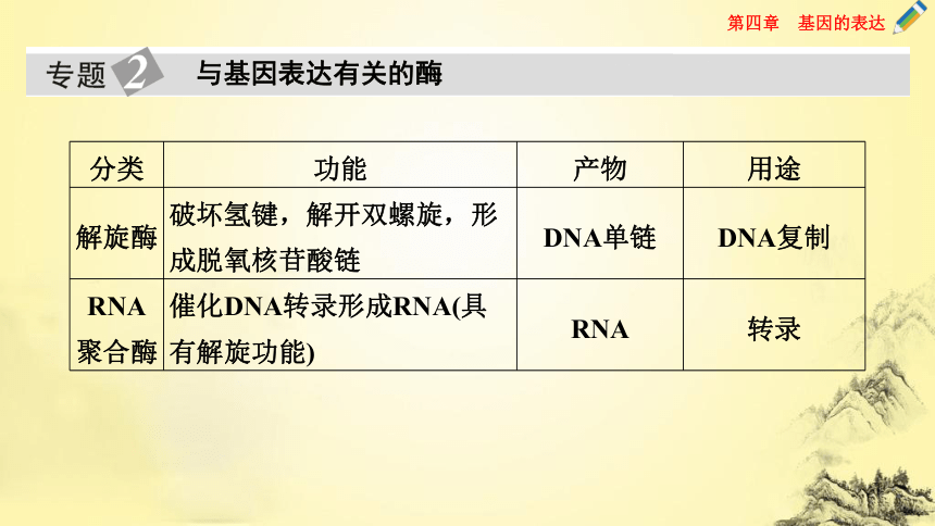 增強人體的免疫抵禦能力(3)染色質 核孔(2) mrna(信使rna) trna和rrna