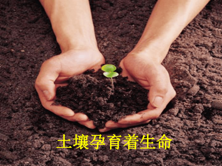 2016秋湘教版科学三上3.3《土壤的保护》ppt课件1