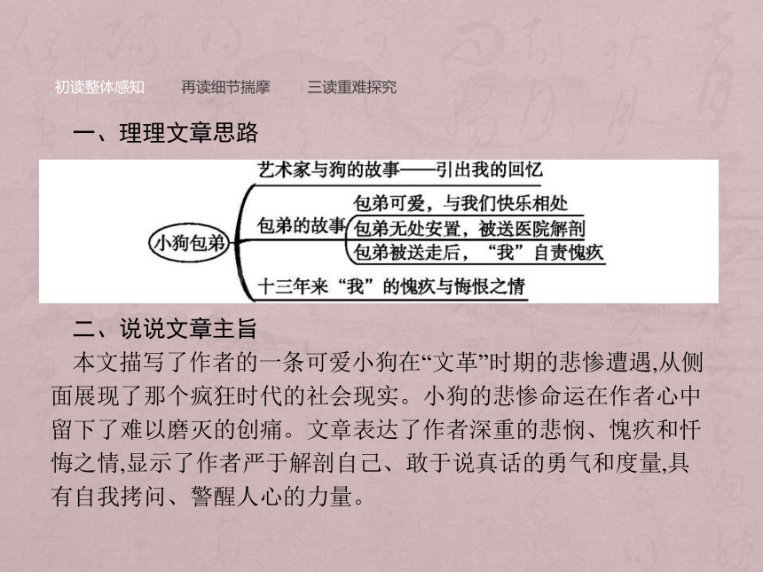 2018-2019学年高一语文人教版必修一课件：8 小狗包弟