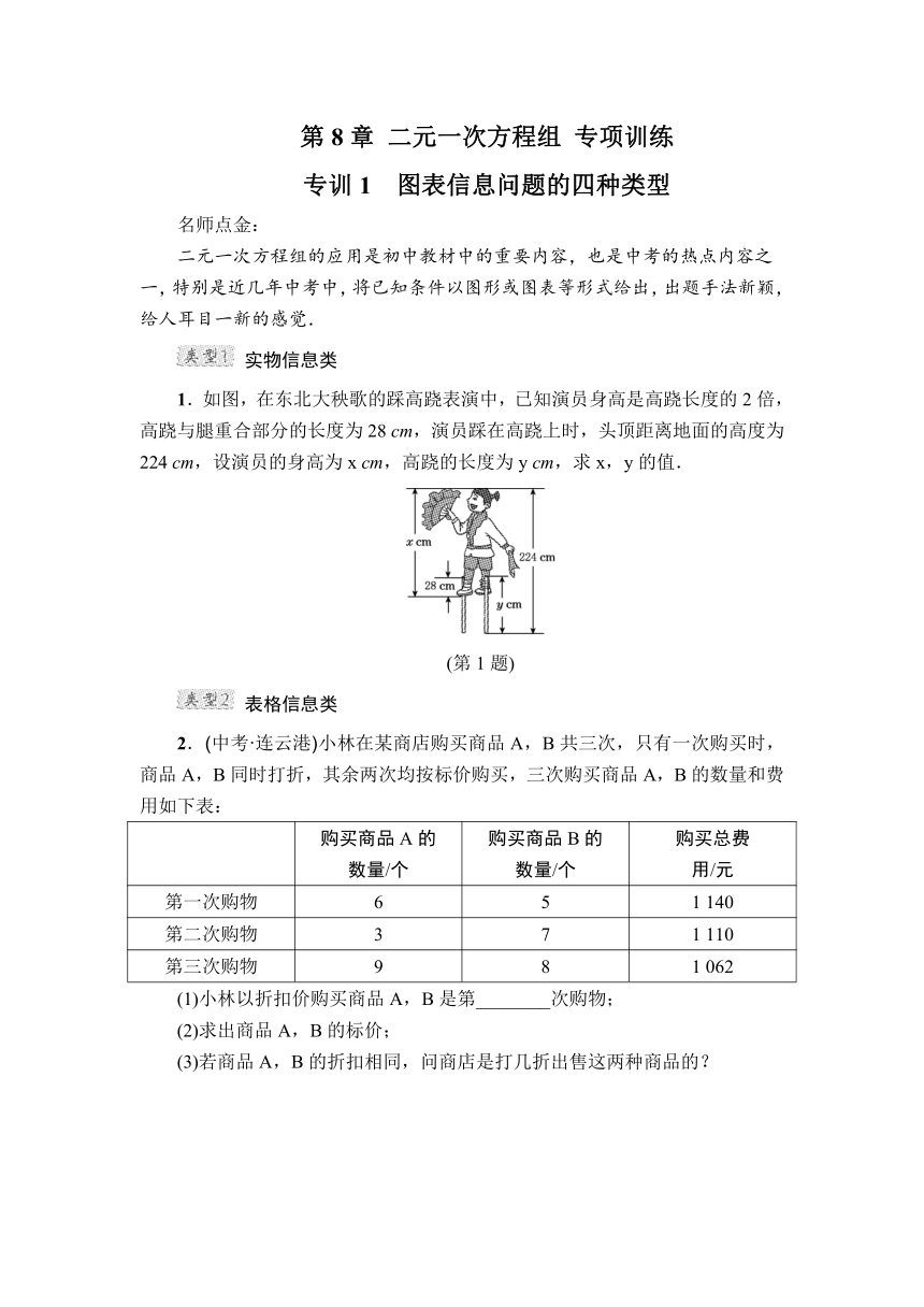 第8章 二元一次方程组 专项训练2（含答案）