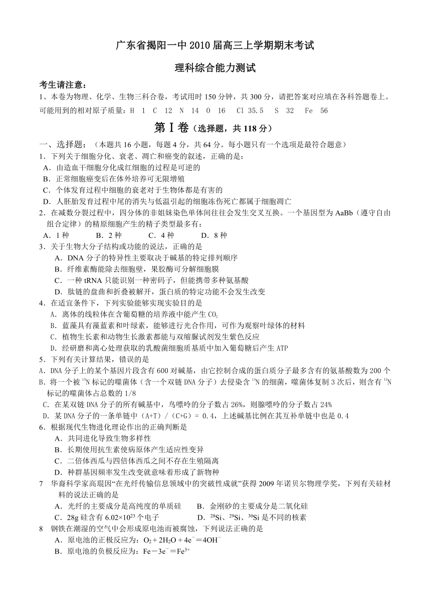 广东省揭阳一中2010届高三上学期期末考试（理综）