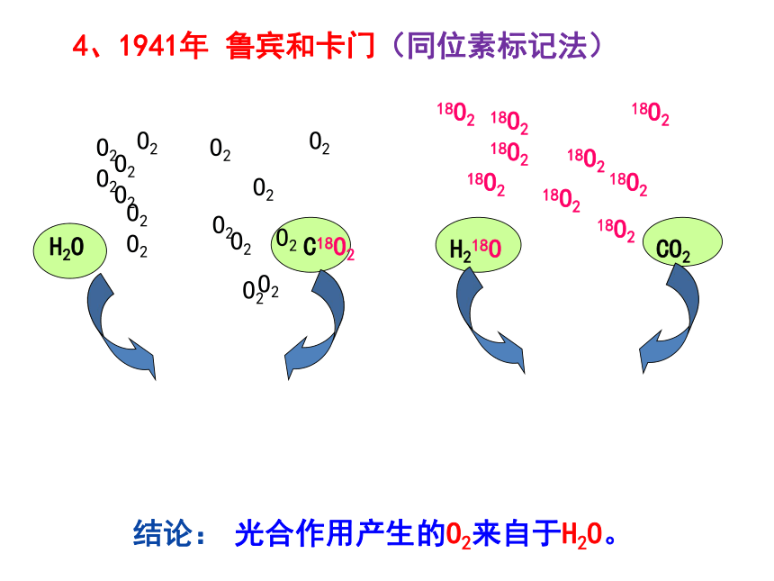 高中生物人教版（新）必修1 第五章 第4节 能量之源——光与光合作用二、光合作用的原理和应用 课件（36张）