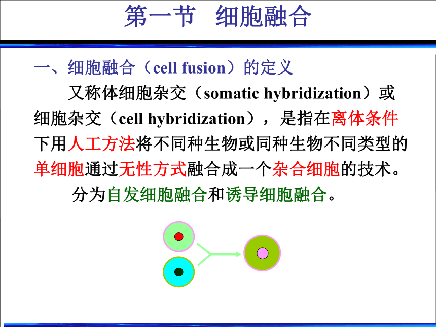 2020-2021学年高中生物竞赛动物细胞工程第三部分 细胞融合与单克隆抗体课件（共34张PPT）