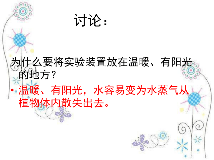 4 叶会蒸腾水分吗 课件