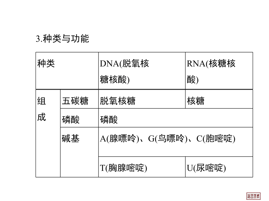 2014届高三生物一轮复习课件： 1.4 细胞中的核酸、糖类和脂质