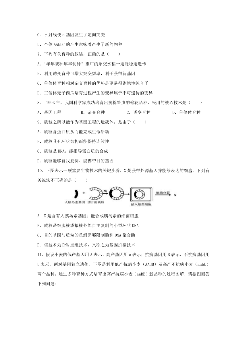 快乐暑假之高一生物：专题9+育种及基因工程