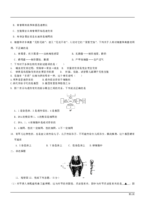 湖北省恩施龙凤初级中学2018-2019学年八年级上第二阶段检测生物试题（word版，无答案）