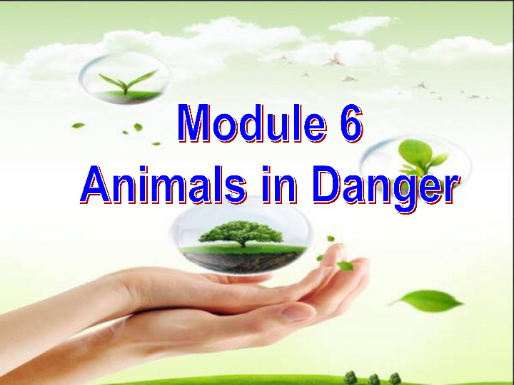 外研版必修五Module 6 Animals in Danger - Reading and Writing课件（23张）