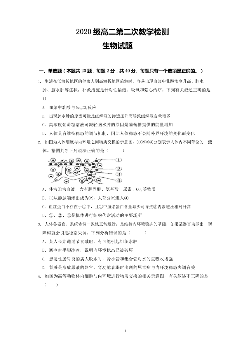 辽宁省丹东市东港第二高级中学2021-2022学年高二上学期11月第二次教学检测生物试卷（Word版含答案）