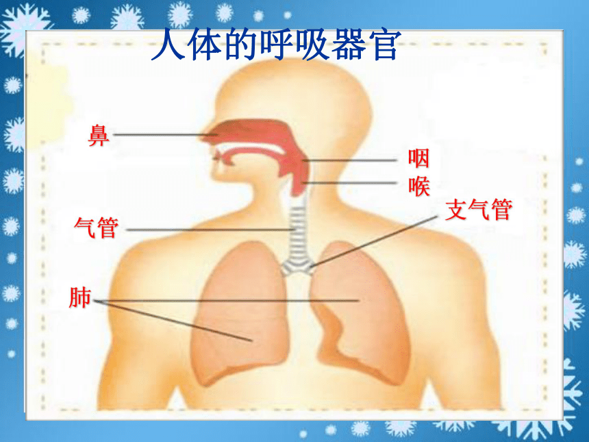 五年级科学上册第7课我们的呼吸课件青岛版