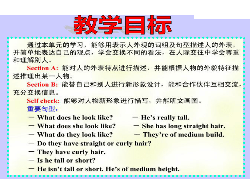 Unit 9 What does he look like?Section A （3a--3c）教学课件 (共37张)