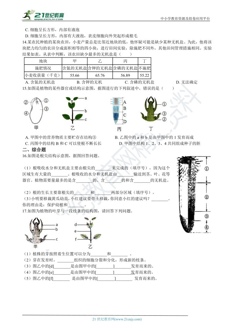 3.2.2植株的生长 同步训练（含答案）