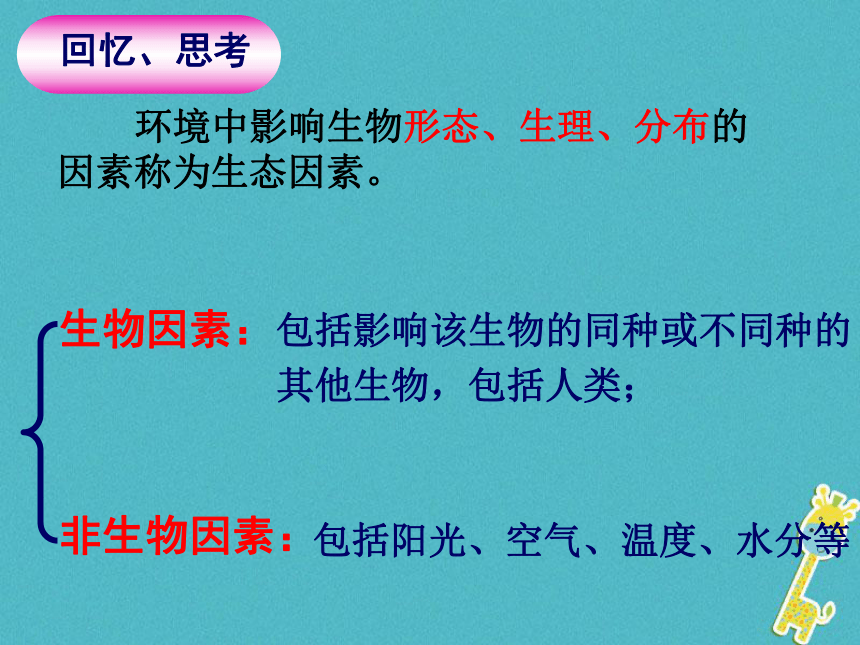 广东省揭阳市八年级生物下册23.1生物的生存依赖一定的环境课件（新版）北师大版