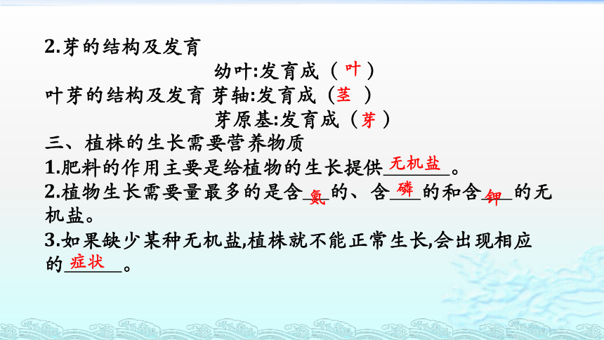 人教版七年级生物上册  3.2.2植株的生长课件（27张PPT）