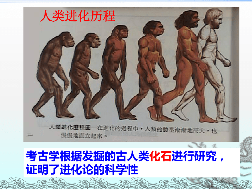 初中历史人教课标版七年级上册第1单元第1课 中国早期人类的代表——北京人 课件（含视频）