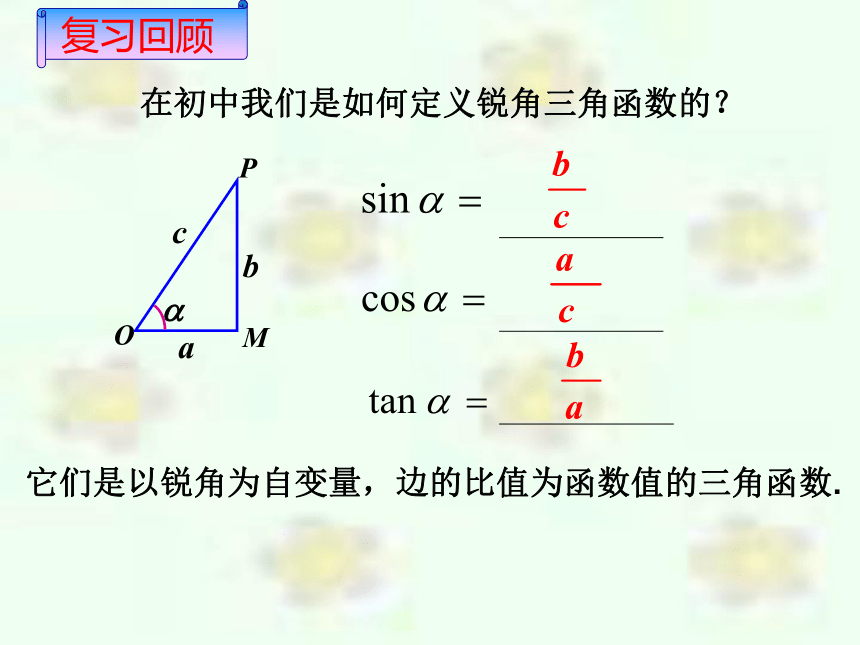 任意角的三角函数(浙江省台州市)