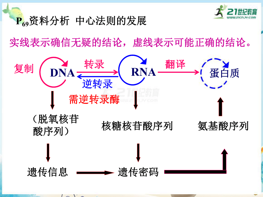 4.2 基因对性状的控制（共28张PPT）