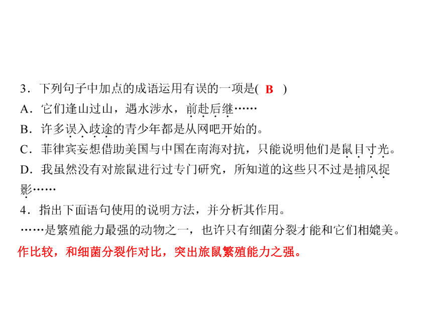 人教版八年级语文下册随堂训练课件：第3单元 13 旅鼠之谜 (共15张PPT)