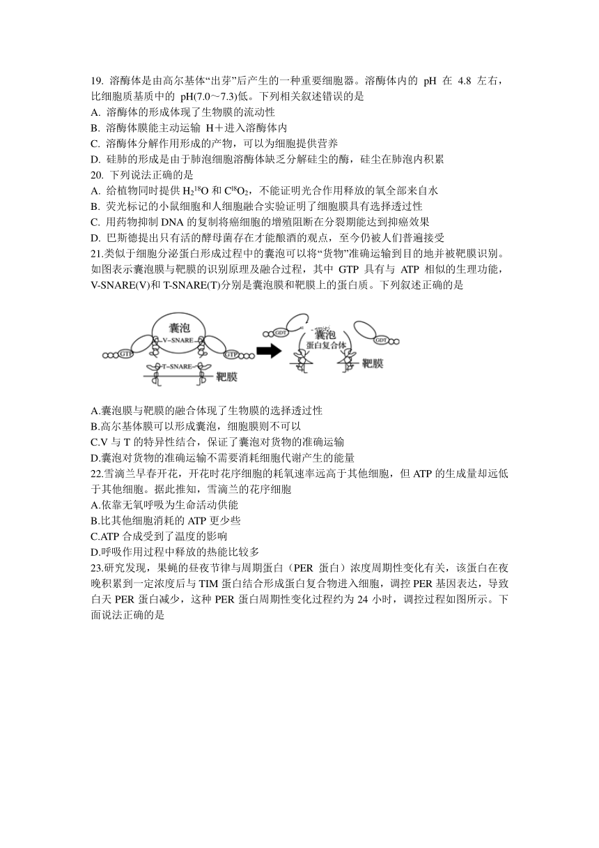 四川省成都外国语学校2018-2019学年高二上学期10月月考生物试卷