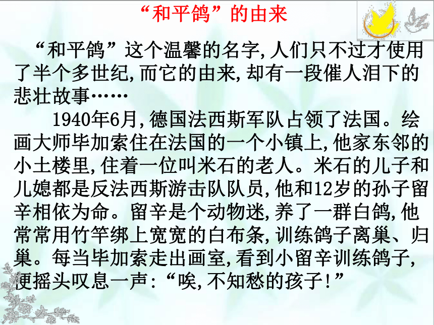 品德与社会六年级下鄂教版27放飞和平鸽课件49张