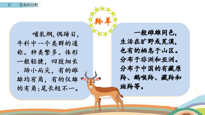 苏教版四年级下册语文课件：17 生命的壮歌 (共44张PPT)