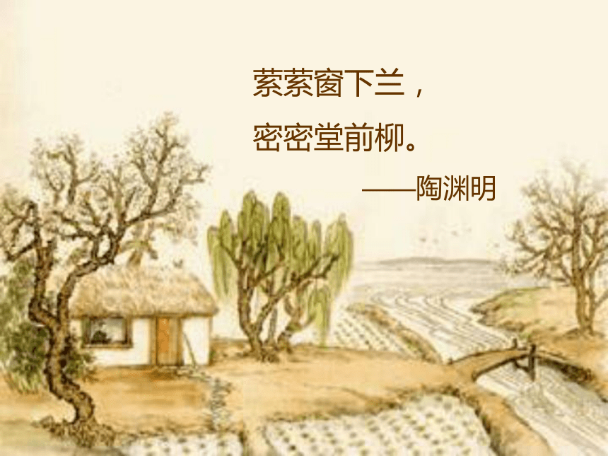 高中语文高一年级上华东师大版5.16《种树郭橐驼传》课件（84张）