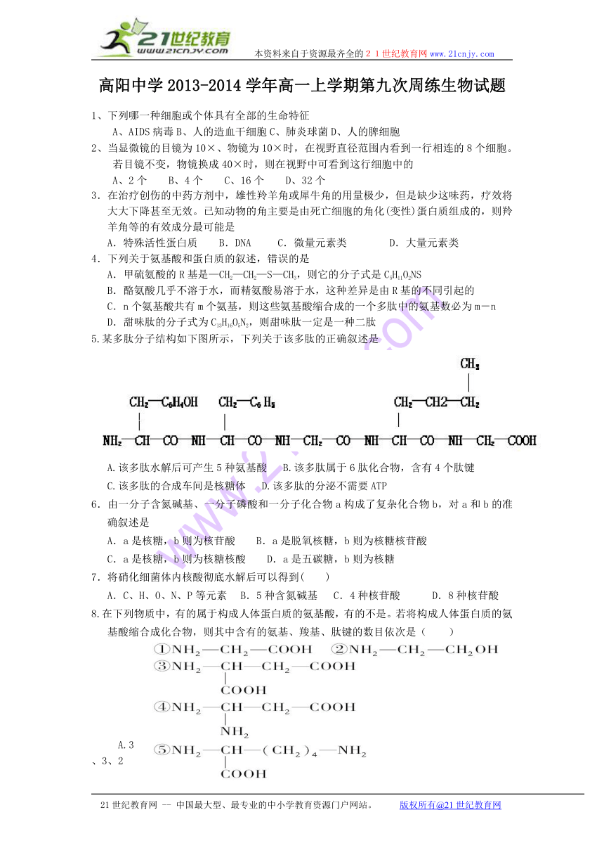 河北省保定市高阳中学2013-2014学年高一上学期第九次周练生物试题