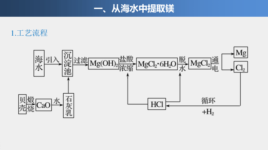 海水提镁流程图及解析图片