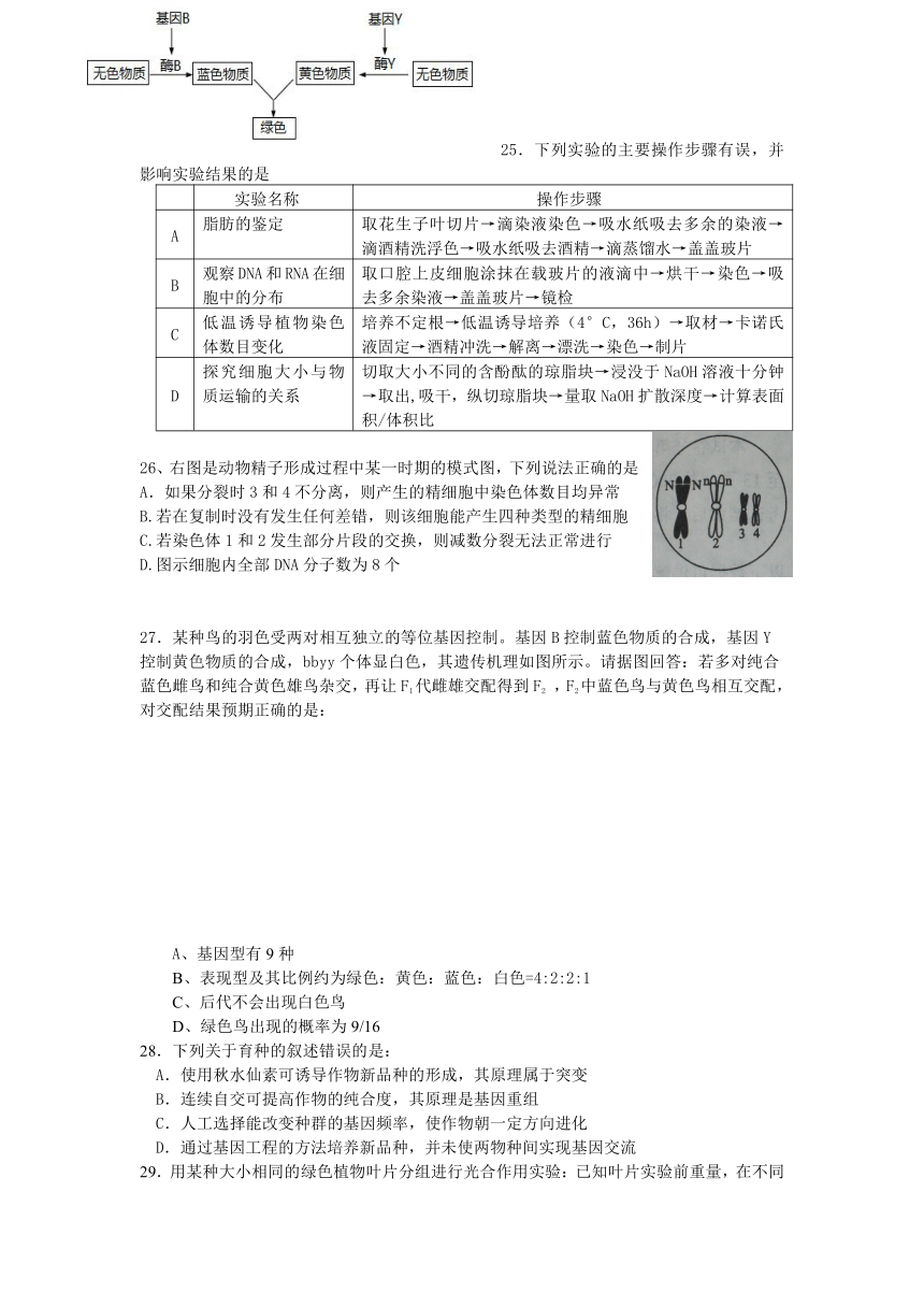 辽宁省某重点中学2013届高三上学期期末考试生物试题