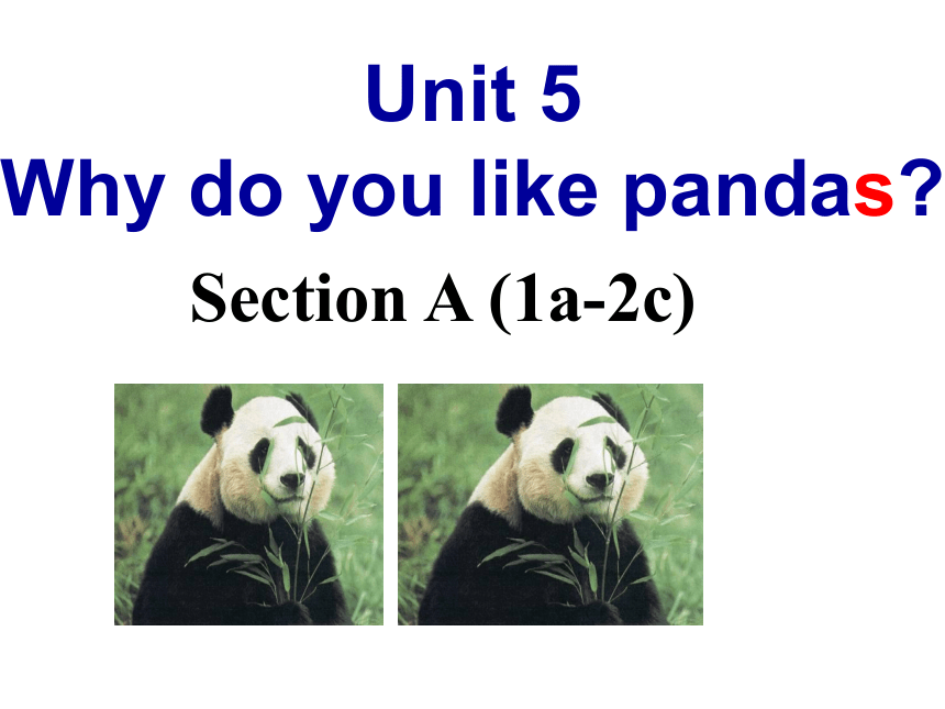 Unit 5 Why do you like pandas？ Section A 1a-2c 课件